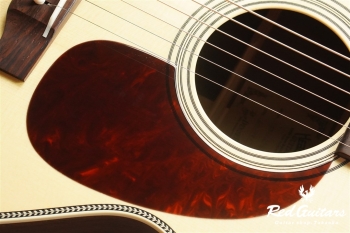HF-555’21 A,S-ESV/ATB 【Deviser One Day Guitar Show 2021】